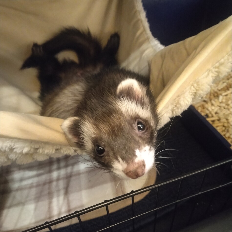 ルナのカバー写真