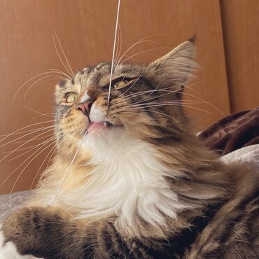 の写真