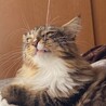 の写真