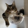 の写真