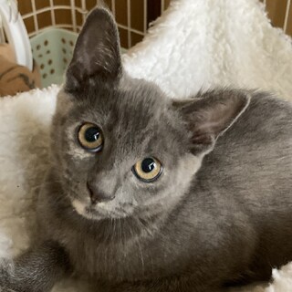 元気いっぱい！お転婆娘のよつばちゃん♪