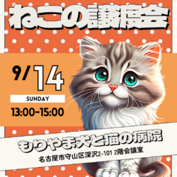 保護猫★譲渡会！名古屋|守山区
