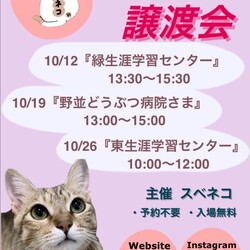 猫の譲渡会 10/12（日）緑生涯学習センターで開催