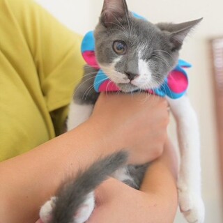 小さな体で手術を乗り越えた♡あおい♡