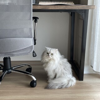 甘えん坊です！