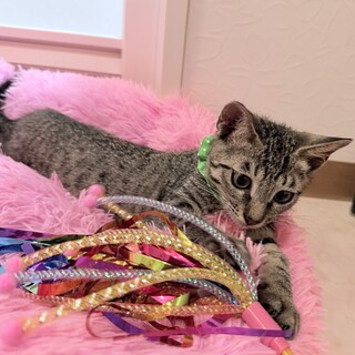 いつもルンルン♡ご機嫌な子