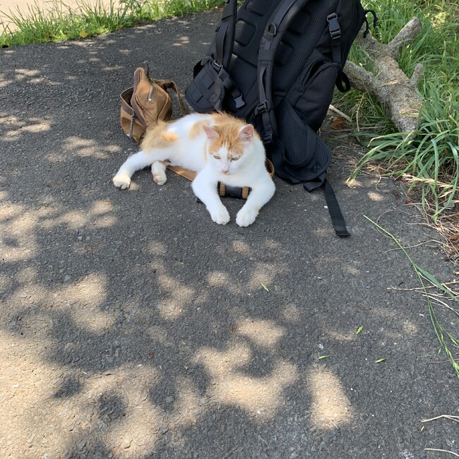 k0415kのカバー写真