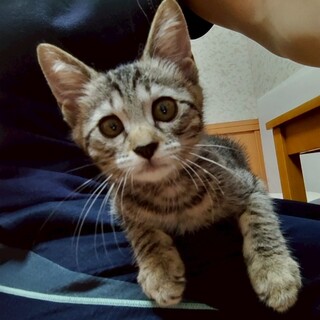 好奇心旺盛♪元気いっぱい！！　ゆり♀