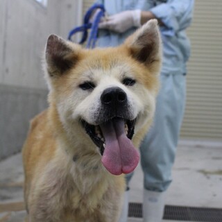 穏やかフレンドリーな【小町】ちゃん