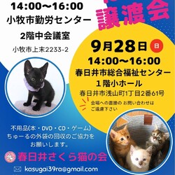 保護猫の譲渡会in小牧