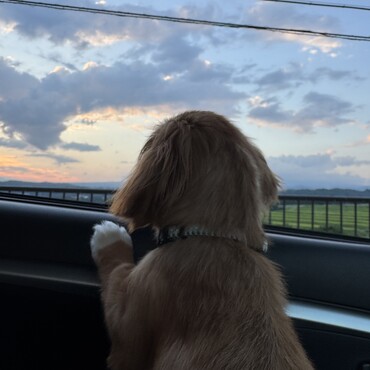 ドライブ中の1コマ。