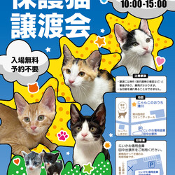 第13回保護猫譲渡会