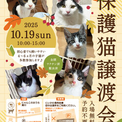 第14回保護猫譲渡会