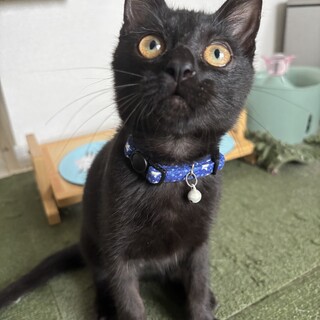 大怪我を乗り越えたミラクルボーイ