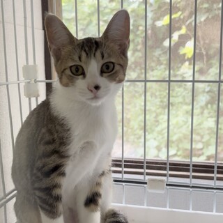 急募★ 天真爛漫で甘えん坊のこうちゃん❤️