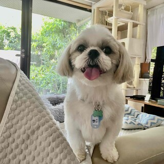 仮名：律（りつ）　　