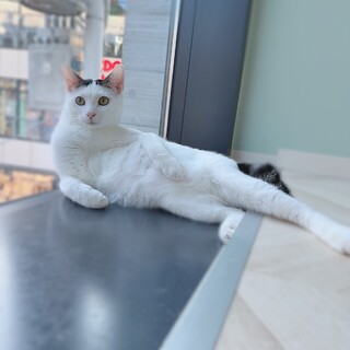 沖縄からずっとのお家を探しにきました！