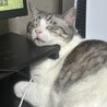 mmiy