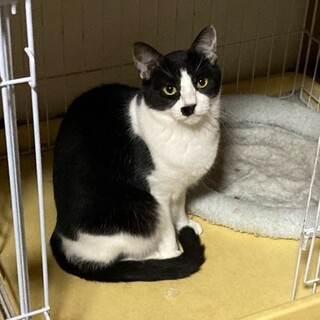 だんくんと仲良くして！