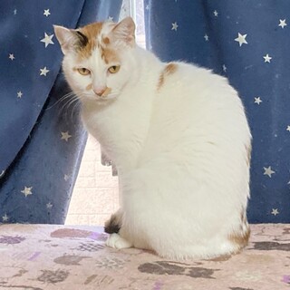 ウイちゃんと仲良くして！