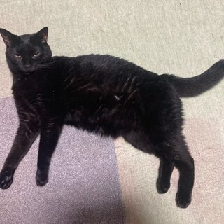 甘えん坊なすずりです。