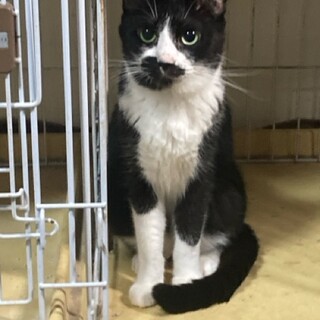 ママさんをいっぱい可愛がって！