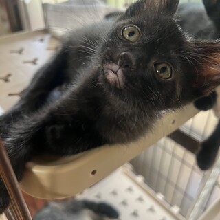 くちびるがチャーミング❤️のんびりとした性格
