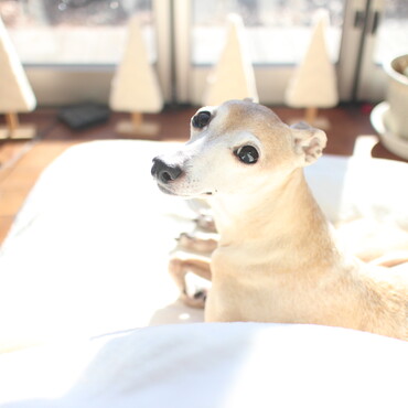 の写真