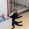 自分からお家に入ってきた黒猫★スーちゃん サムネイル4