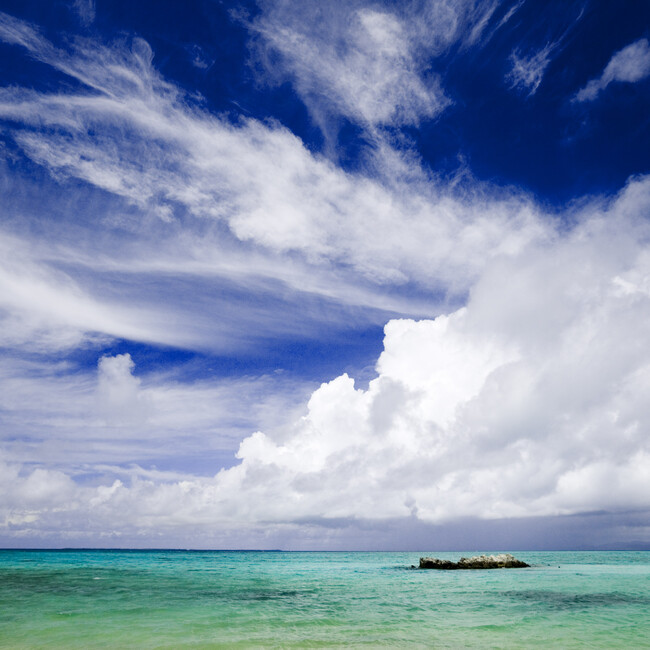 Ciel＊のカバー写真