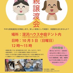 里親譲渡会・深沢ハウス