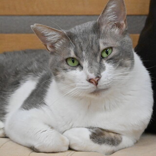 キュウ：リラックスした様子も見せるようになりました