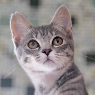 冴翠♡家族ができました