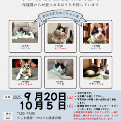 保護猫譲渡会クローバーの会 サムネイル1