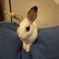 2歳