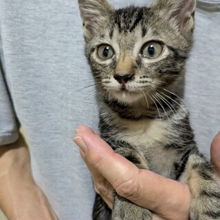 うるめ　なんでも　イチバン！