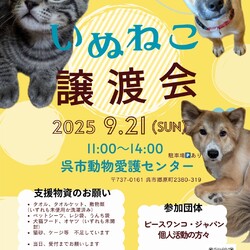 いぬねこ譲渡会