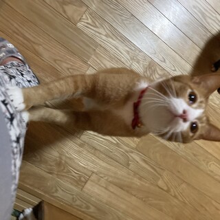 募集一時停止中　