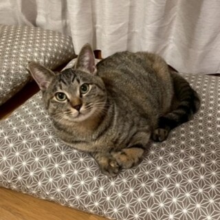 イタズラ好きで気が強い女子♪甘えん坊オルちゃん