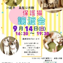 秘密結社ねこのひげ♡保護猫譲渡会