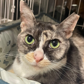 とてもあまえんぼで賢いルビーちゃん