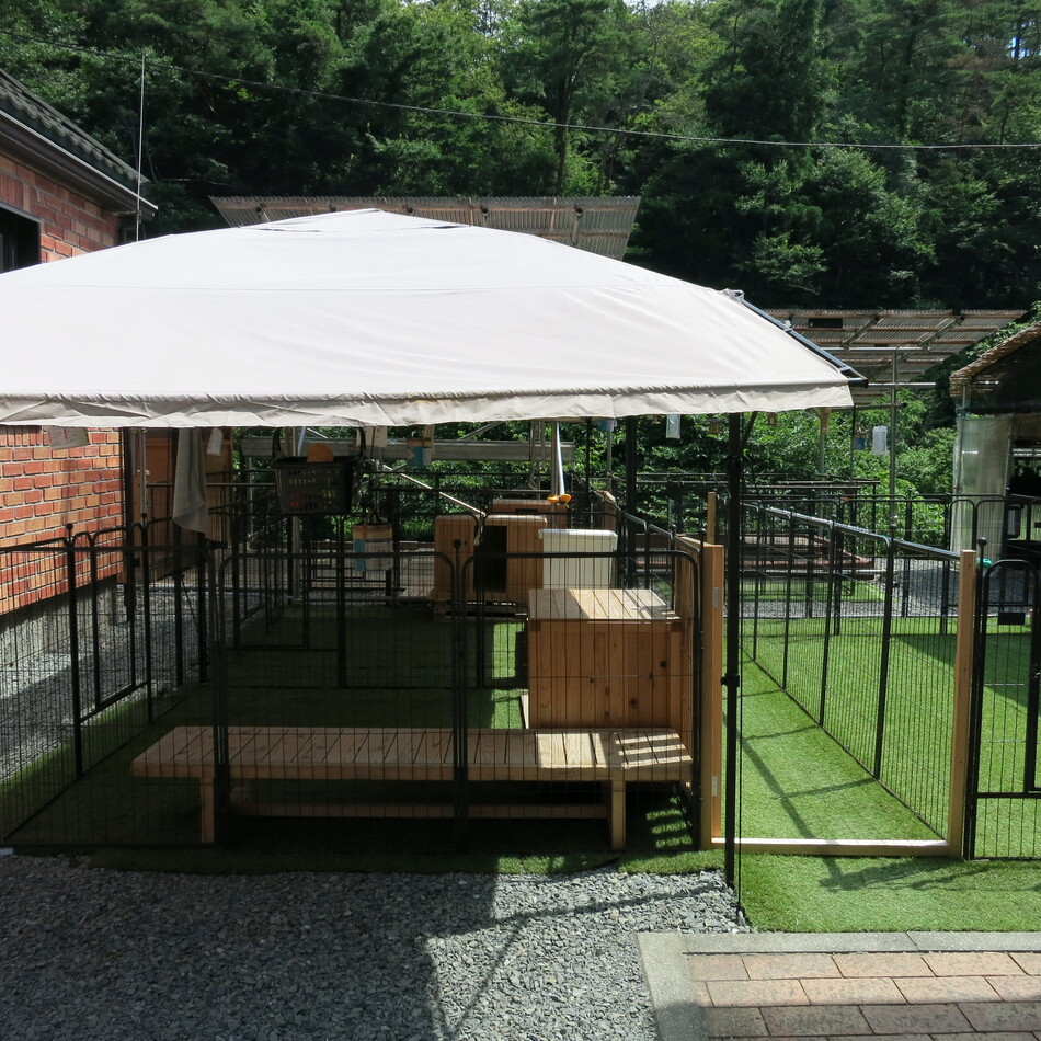 ベンのカバー写真