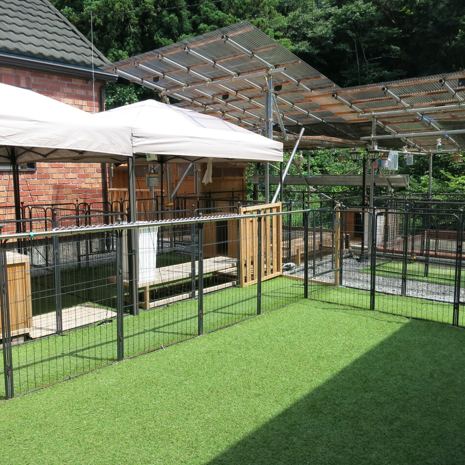 ドレミのカバー写真