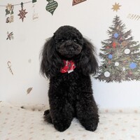 ムー（旧：アイ）