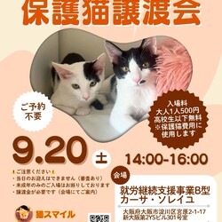 ねこの譲渡会@新大阪