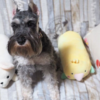 オンリーワンにしてくれる方、とても賢い美人さんです