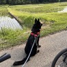 PetLover1102