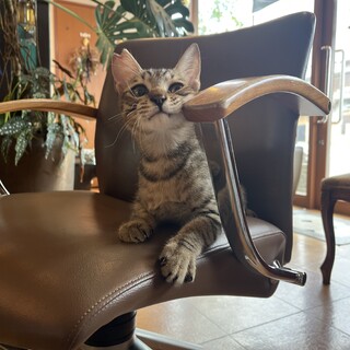 フミフミごろごろが止まらない❣️愛らしいうり坊