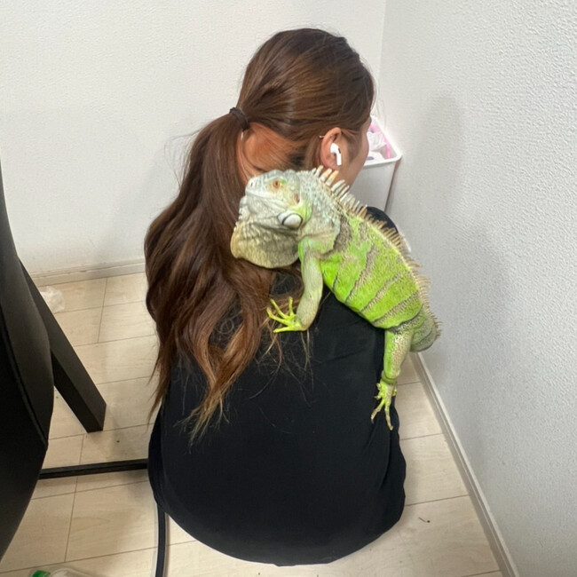 ®️9のカバー写真