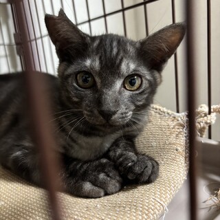 怖がりさん、だけど優しい男の子！